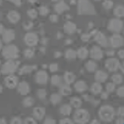 Sichuan Kunwei Langsheng extrusionem Intelligent ipsum Co., Ltd.